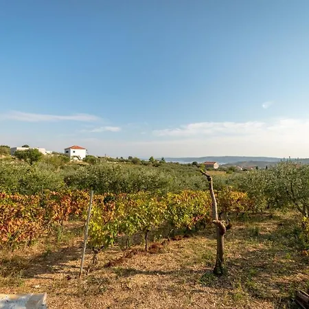 Pax 빌라 Kaštel Štafilić